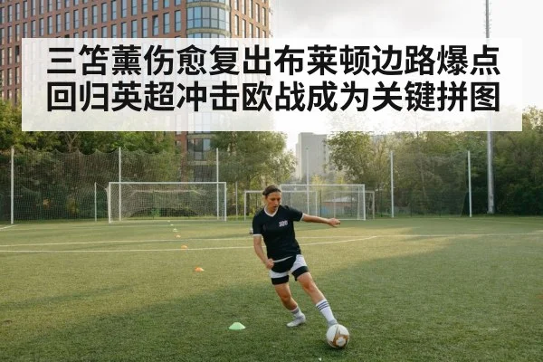 三笘薰伤愈复出布莱顿边路爆点回归英超冲击欧战成为关键拼图